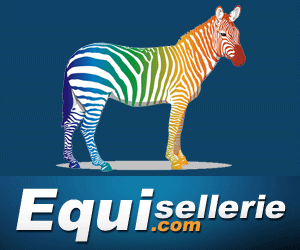 Equisellerie