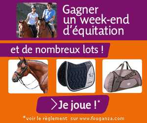 Equisellerie