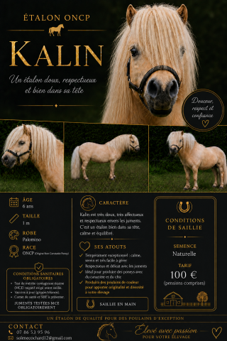 Kalin : kalin - saillie étalon (shetland oncp)