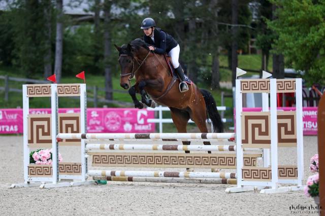 Jument 5 ans pour mini amateur