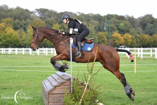 Hongre 11 ans cce dressage cso