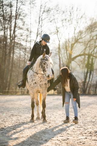 Pl ergonomie - saddle fitter en alsace
