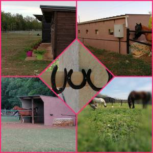 HÉBERGEMENT CHEVAUX & CAVALIERS