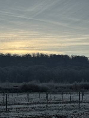 Pension chevaux dans l’Oise