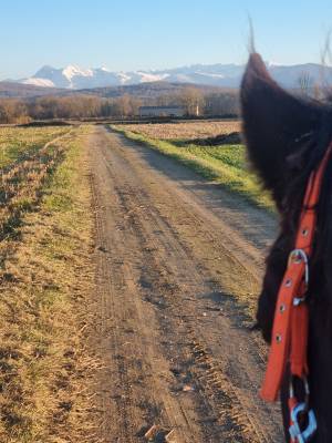 Pension propriétaire