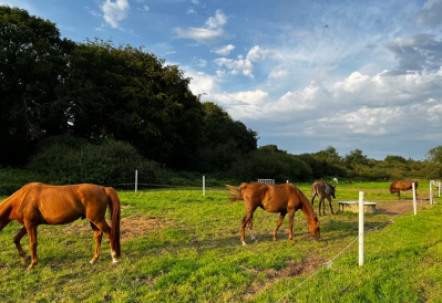 Pension pré / travail - entraînement d'endurance 29440 Plougar