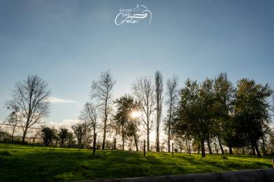 Pension champ avec carriere 80x40 eclairée