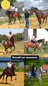Dépôt vente chevaux en Sarthe 72
