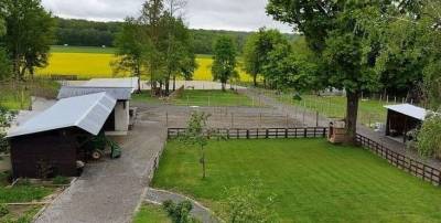 1 place en Pension box paddock chez particulier 77