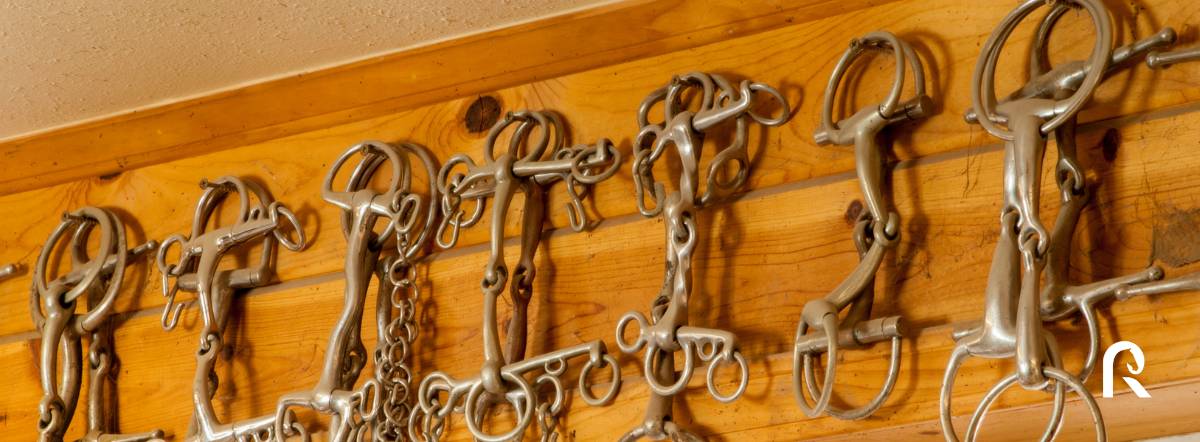 Entretenir ses embouchures pour le bien-être de son cheval
