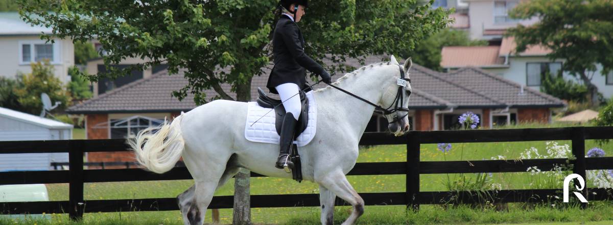 Premiers concours d'équitation