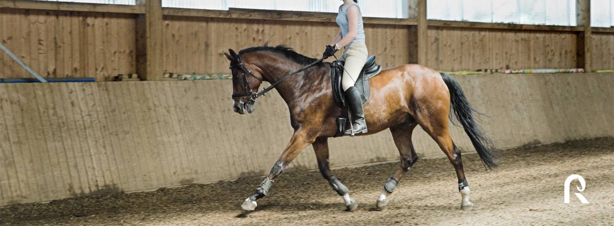 Progresser à cheval