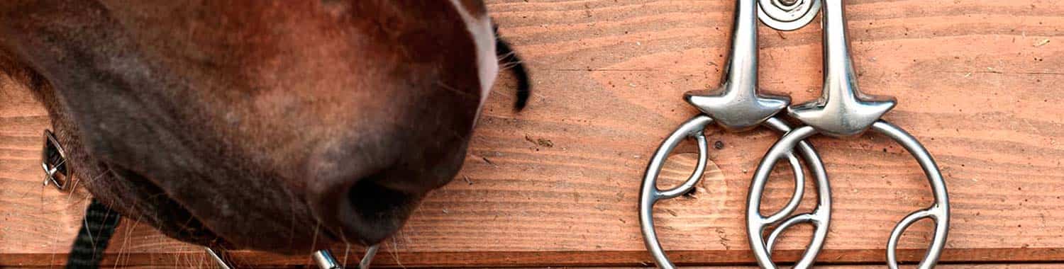 Matériel d'équitation d'occasion