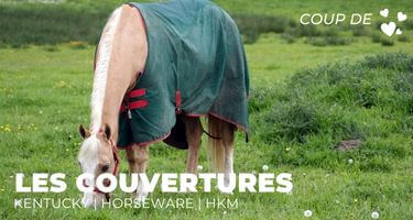 Couvertures cheval
