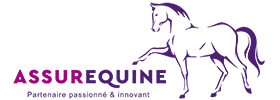 Assurequine assurance chevaux