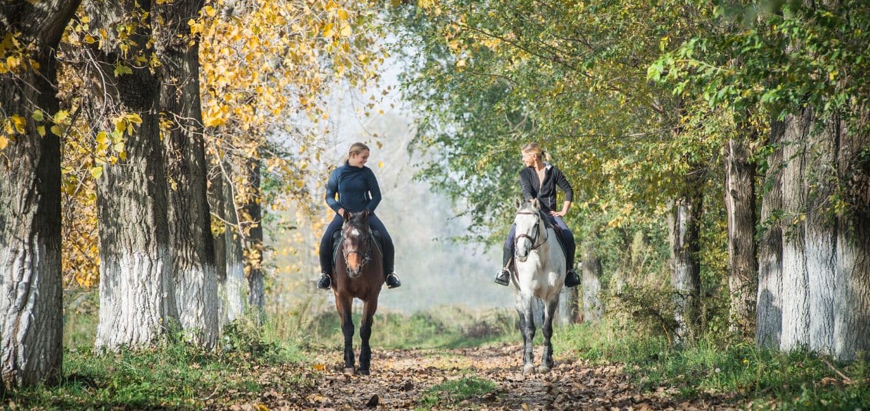 Immobilier équestre et rural