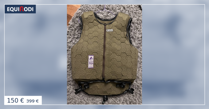 Gilet dainese equitation cheap