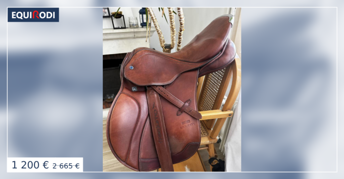 Étriers D'équitation Stubben Fantaisie – Cuir, Taille 52 – Occasion Allemagne