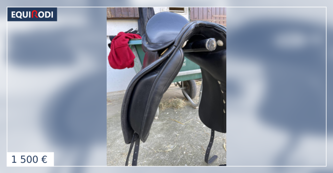 Selle De Dressage Albion SK – Taille 17 M, Couleur Noire, Bon état (Occasion)