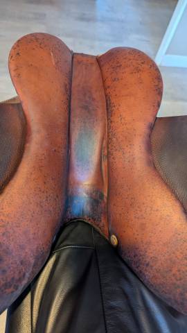 Selle butet 17 pouces