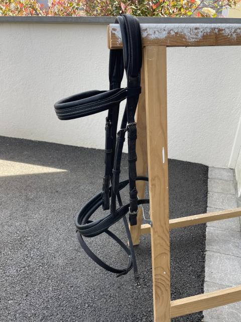 Bridon en cuir noir 