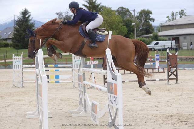  super cheval d’expérience 