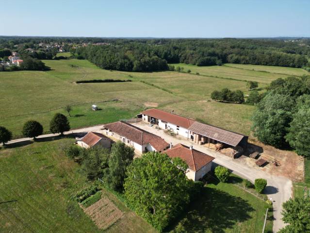 Pension chevaux: pré, box/paddock