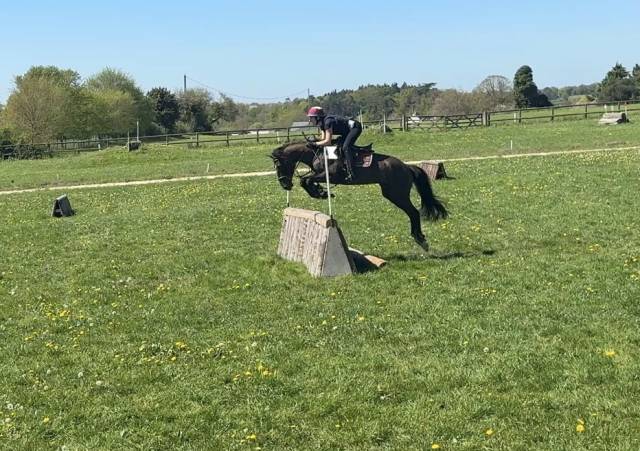 Lusitanien pp - idéal cce