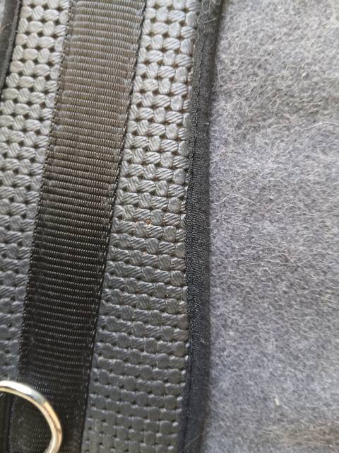 Sangle courte Horze 75 cm