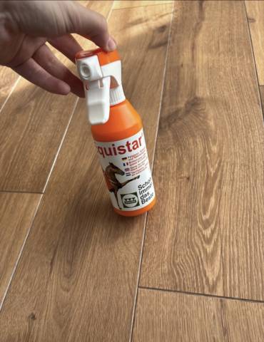 brillant pour robe crinière et queue 