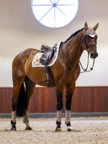 Tapis de selle SAND mixte - EQUESTRIAN STOCKHOLM