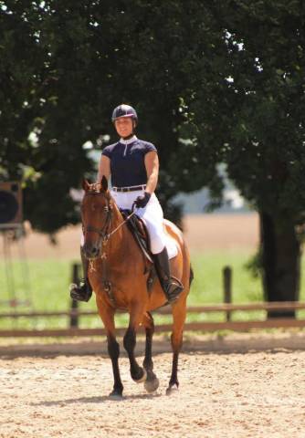 Vends jument ps 11 ans 