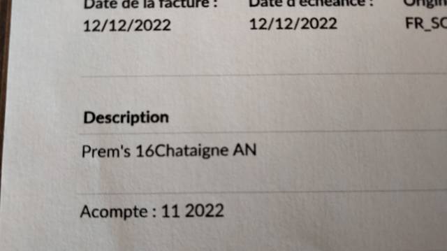 selle Forestier mod&eacute;le Prem's 2022