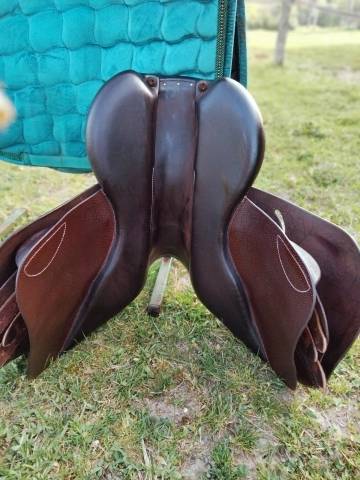 selle Forestier mod&eacute;le Prem's 2022