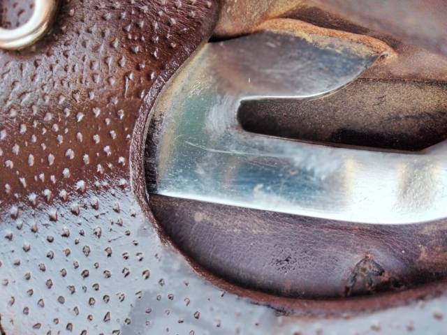 selle Forestier mod&eacute;le Prem's 2022