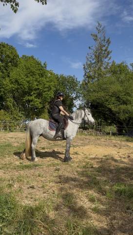 Ponette welsh 5 ans