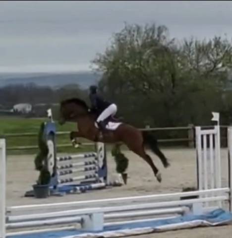 à vendre hilpetille 