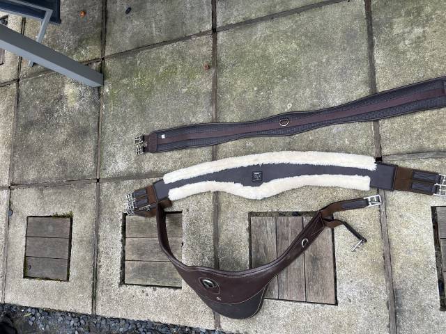 Selle privil&egrave;ge &eacute;quitation (saumur) 