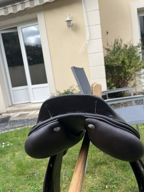 Selle privil&egrave;ge &eacute;quitation (saumur) 