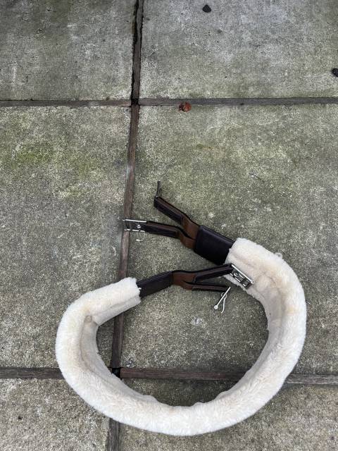 Selle privil&egrave;ge &eacute;quitation (saumur) 