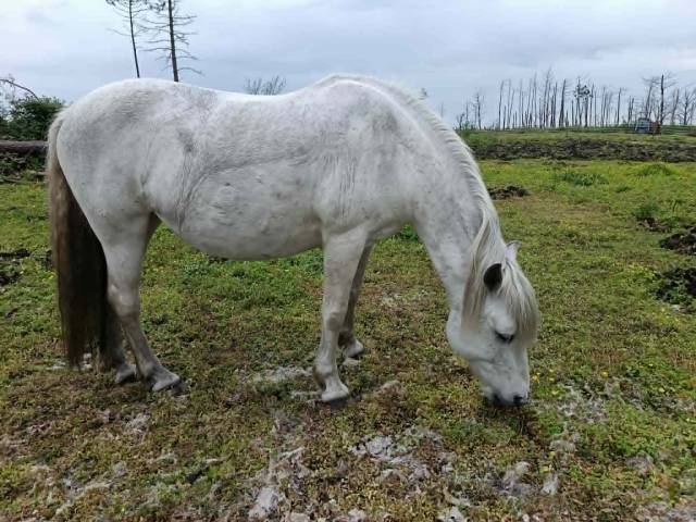 A vendre pour pré retraite