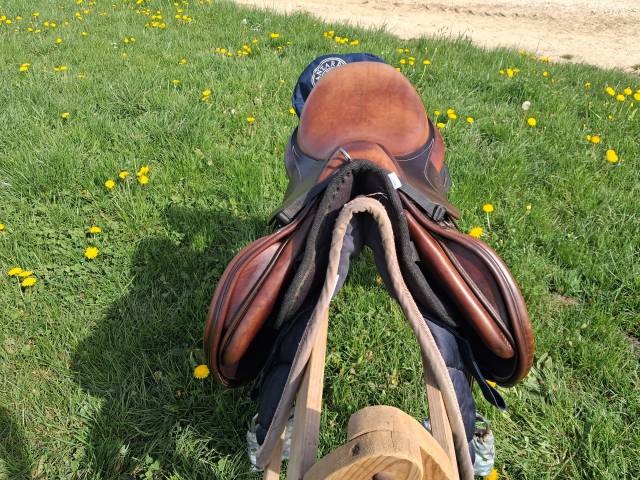 Selle signature antares