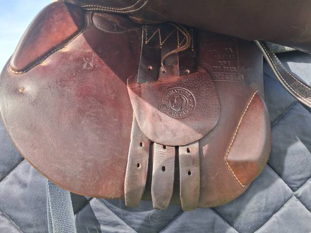 Selle signature antares