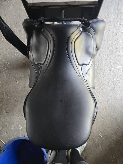 Selle Amerigo Octave Pinerolo 17,5&rdquo; Noir 2024