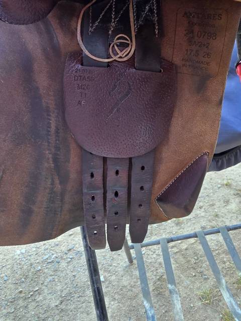 Selle antares connexion