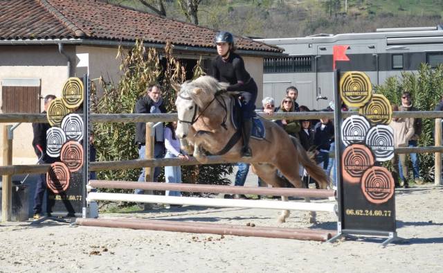 Poney de sport et loisirs