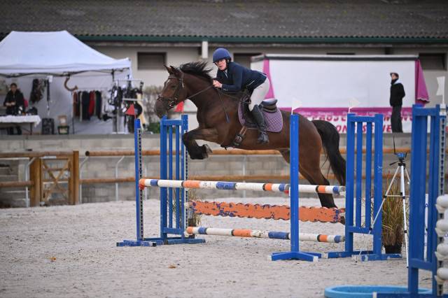 Hongre cso cce 6ans