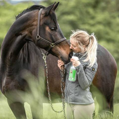 Spray R&eacute;pulsif Anti-Taons 375ml Bremsen - Protection Extr&ecirc;me