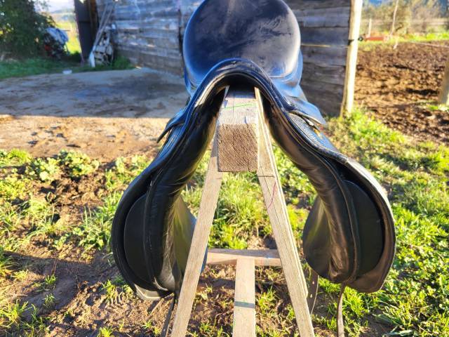 selle dressage Hippos