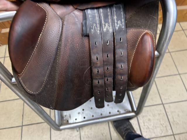 Selles Michel Robert CSP Prestige Italia - 16 - 2021